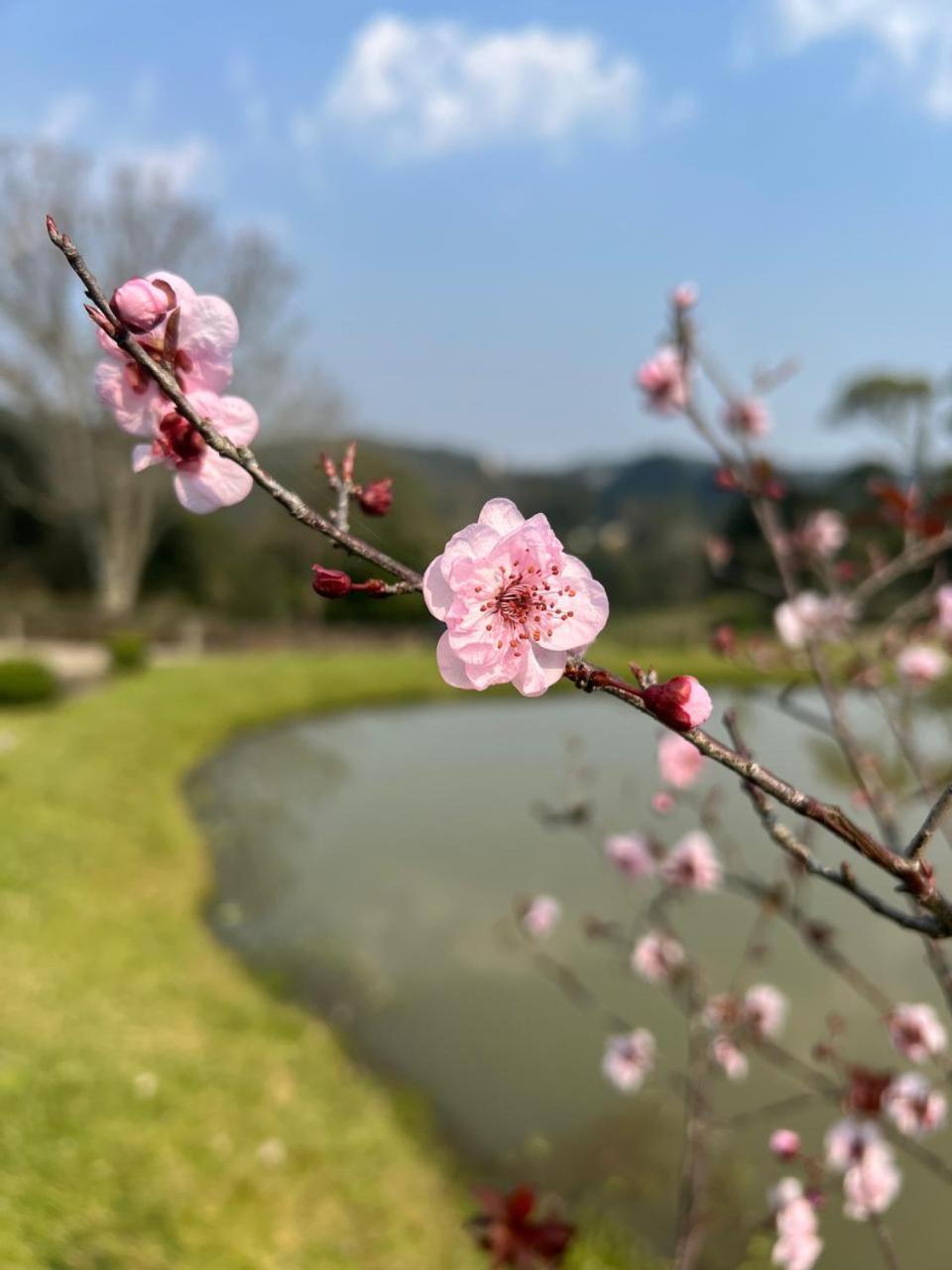 A Estalagem Hospedaria Flores da Cunha Esterno foto